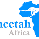 Cheetah Africa Launching With Fintech And Blockchain Conference.