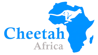 Cheetah Africa Launching With Fintech And Blockchain Conference.