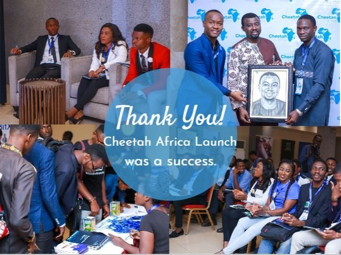 FEEDBACK FROM THE RECENT LAUNCH OF CHEETAH AFRICA. CHEETAH AFRICA WAS A SUCCESS.