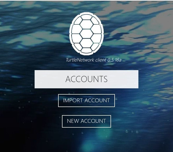 BLACKTURTLE NETWORK THE NEW FORK OF WAVES CRYPTOCURRENCY.