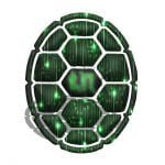 Q and A Section with Bram Nagtegals, Founder and Lead Developer Of BlackTurtle Network (Forked From Waves Blockchain).