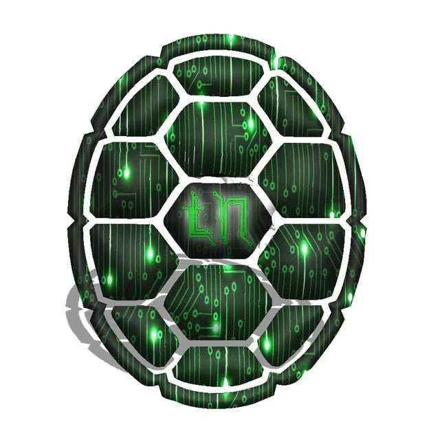 Q and A Section with Bram Nagtegals,  Founder and Lead Developer Of BlackTurtle Network (Forked From Waves Blockchain).