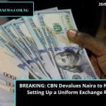 BREAKING: CBN Devalues Naira to N380/$1 Setting Up a Uniform Exchange Rate.