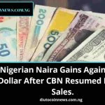 Nigerian Naira Gains Against US Dollar After CBN Resumed Dollar Sales.