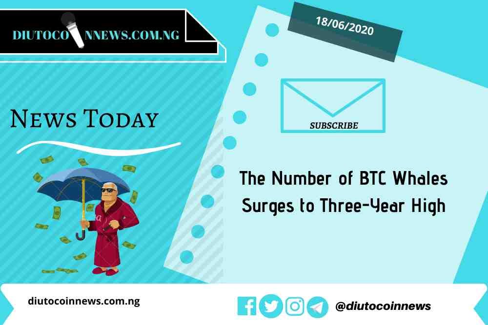 The Number of BTC Whales Surges to Three-Year High
