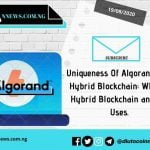 Uniqueness Of Algorand as a Hybrid Blockchain: What is Hybrid Blockchain and It’s Uses.