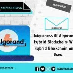 Uniqueness Of Algorand as a Hybrid Blockchain: What is Hybrid Blockchain and It’s Uses.