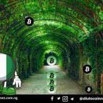 We’re Moving to Only Accepting Donations in Bitcoin Using BTC Pay says a Top Fundraiser for #EndSARS.