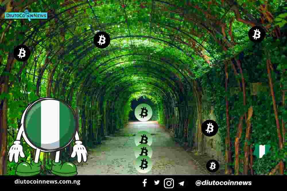 We’re Moving to Only Accepting Donations in Bitcoin Using BTC Pay says a Top Fundraiser for #EndSARS.