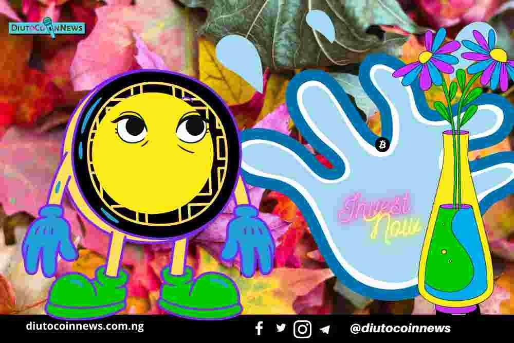 Daily Tips To Money Management and Avoid Going Broke.