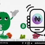 Nigeria Fintechs Pull In $293.2 Million in First Half of 2021.