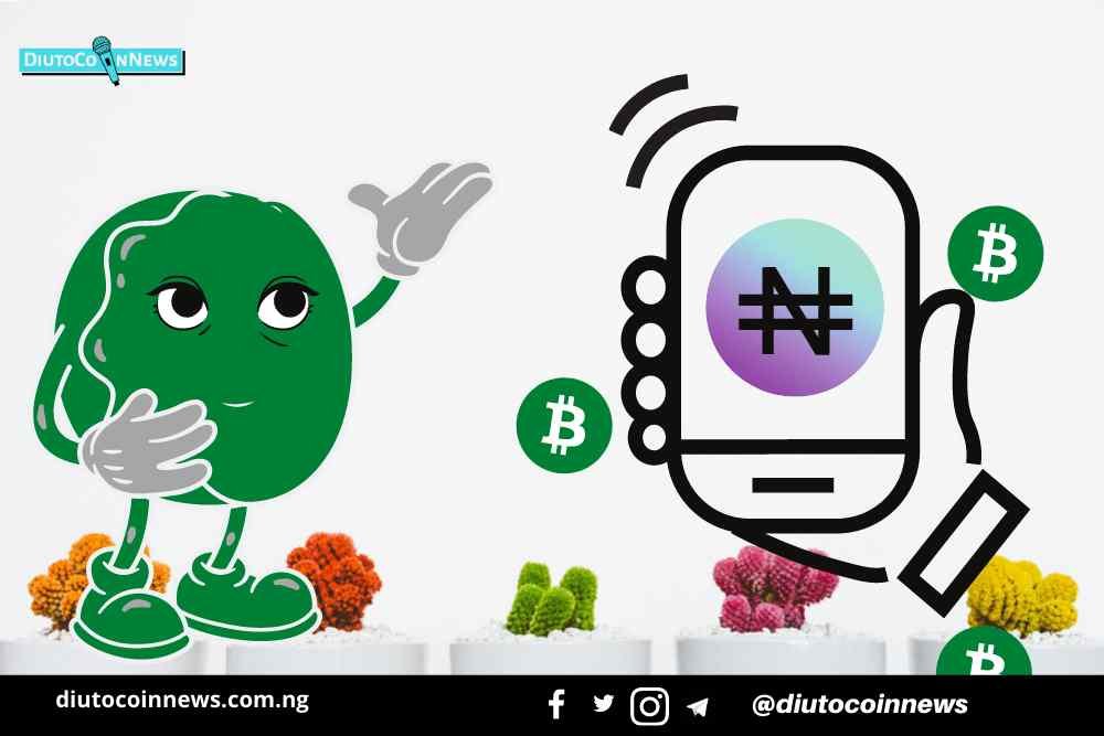 NGNT Stablecoin Launches on Binance Smart Chain Following the Nigerian Central Bank Crypto Ban