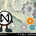 Being a Validator: The Process, Rewards, and Privileges.