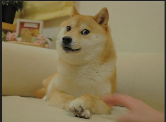 Tesla Will Accept Dogecoin Payment For Merchandise Says Elon Musk.