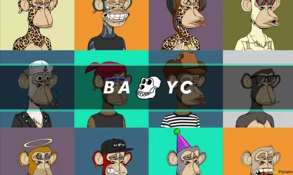 Everything you need to know about the Bored Apes Yacht Club (BAYC) NFT collection and why it is so expensive. 