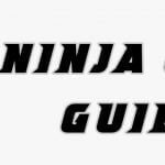 <strong>Introduction to Ninja Game Guild</strong>